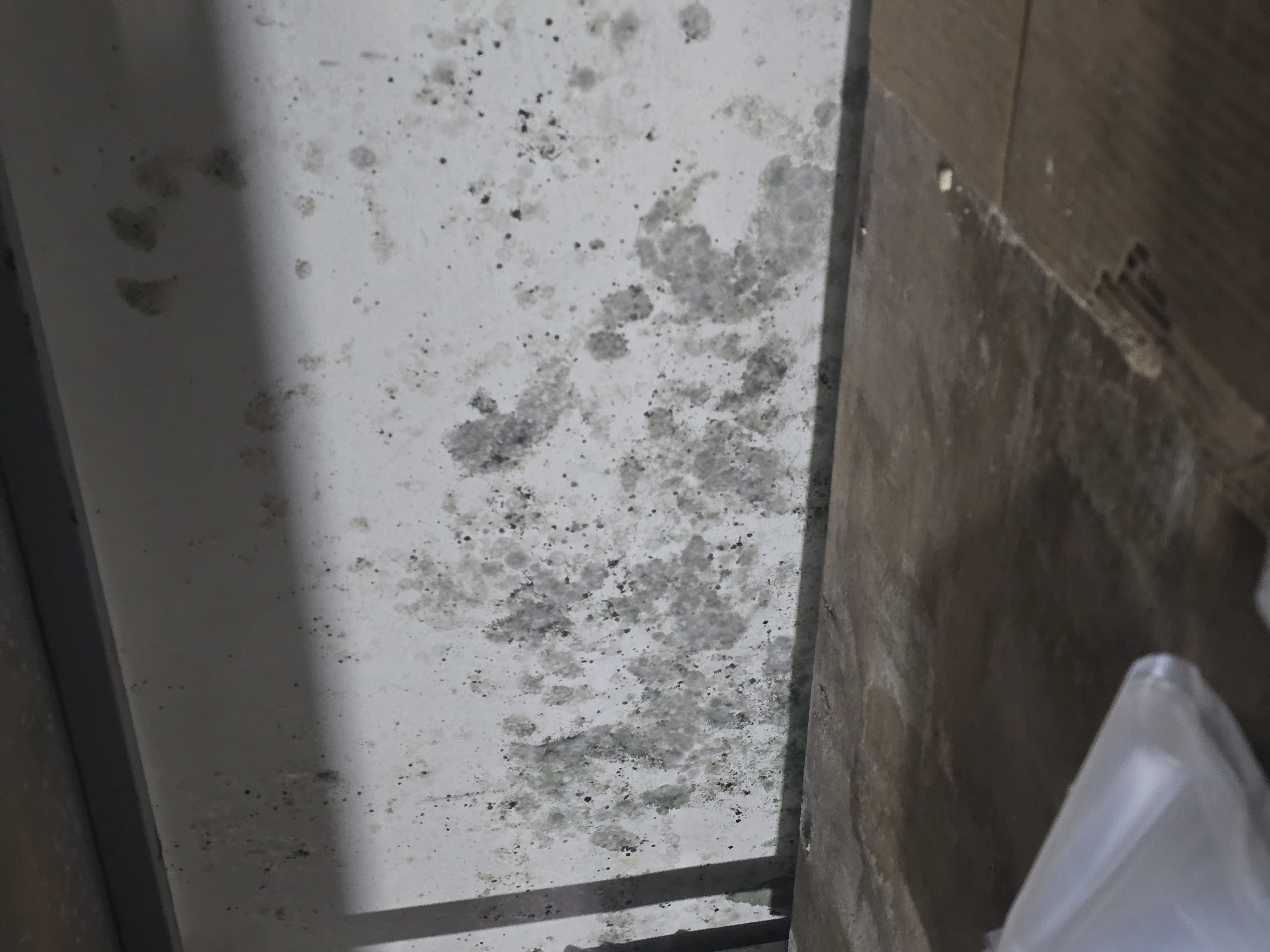 20260320_144004 (1)_1776071877.jpg